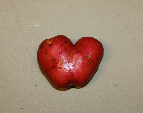 A heart shaped potato.