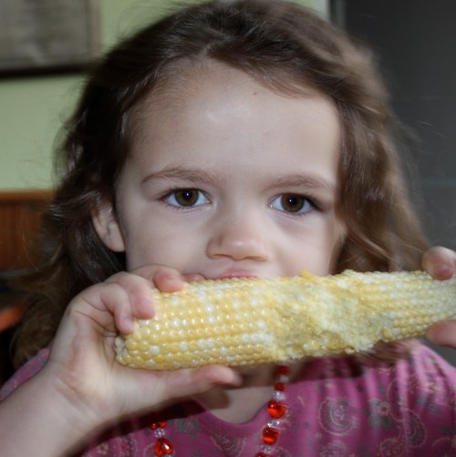Just picked corn the perfect breakfast!
