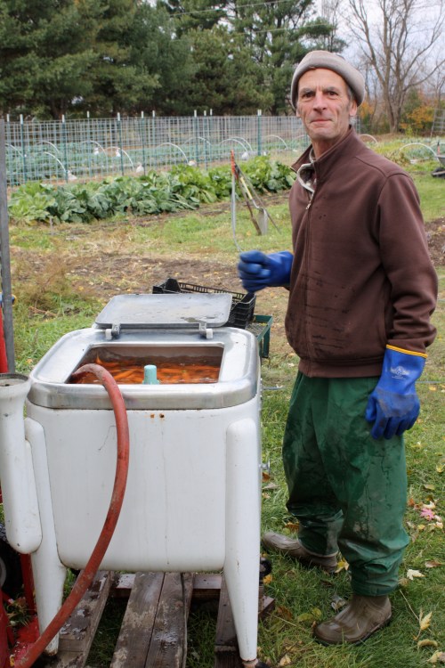 Scott washing the carrots in the cold.