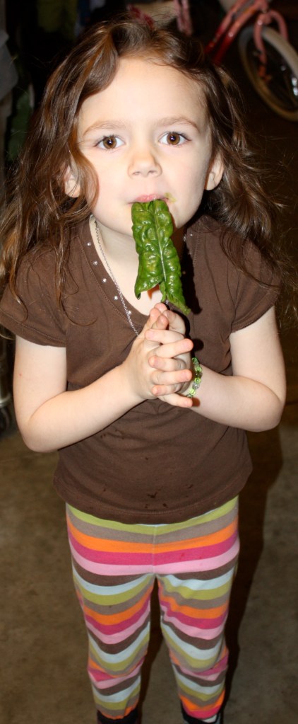 Maeve is the official taste tester.