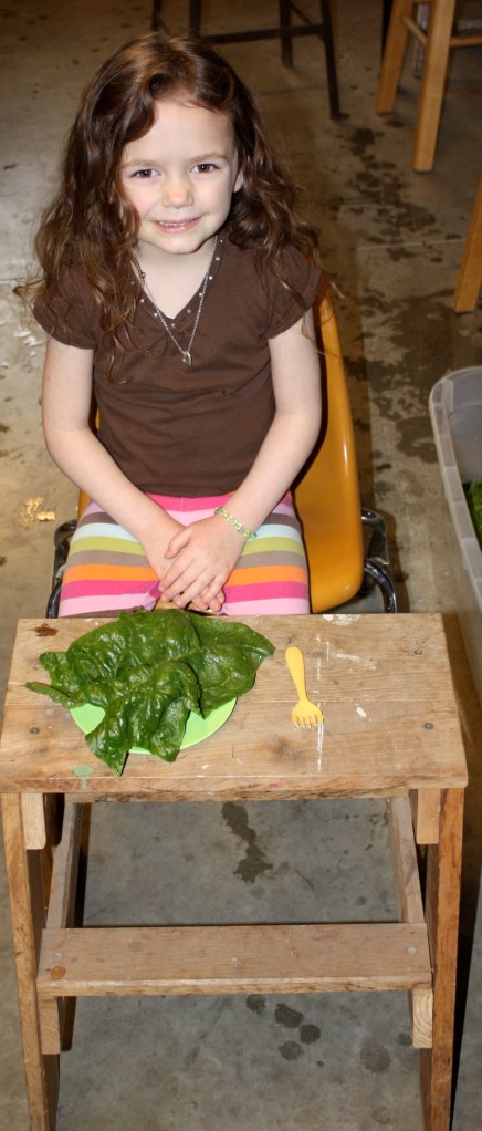 Serving it up in style.