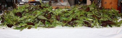 Double rinsed and ready to be bagged.