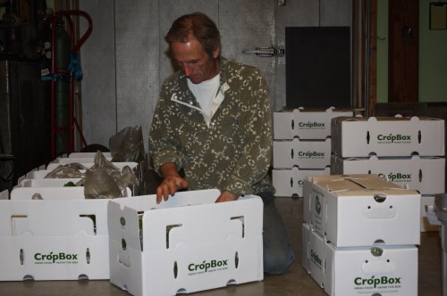 Scott packing Spring Share boxes.