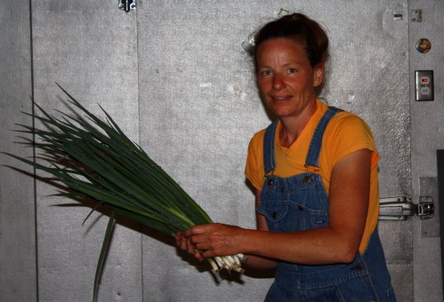 Bundles of Green onions ready to be banded….it looks like I am a huge fan of the "spray tan" this year!