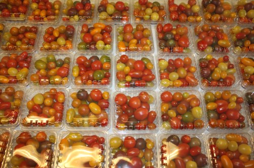 Enough cherry tomatoes for all shares this week!