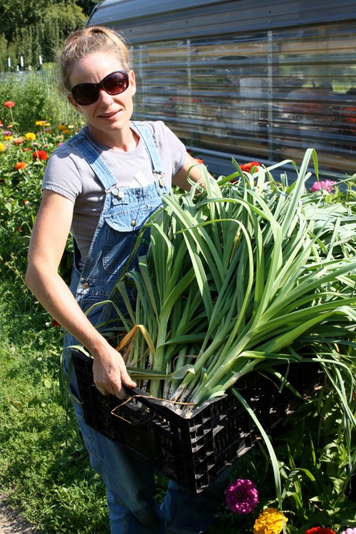 Taking the summer leeks up to the washing station from the garden.