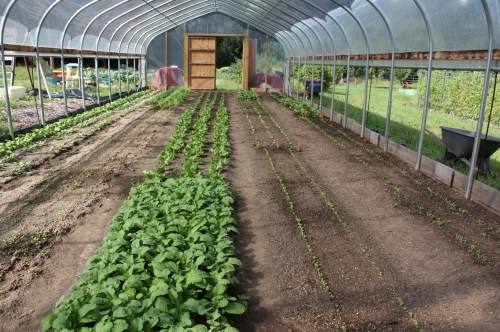 Hoop house trasformed again.