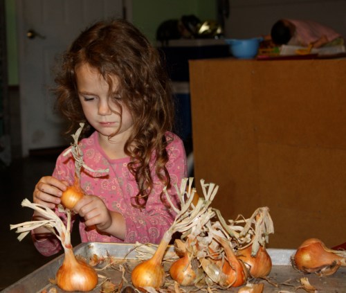 Maeve helped clean the shallots this week.