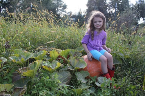 Maeve in her pumpkin patch.  Look at that monster! 