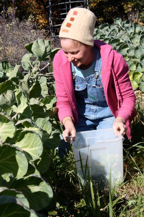 The bucket is slowlu filling up as I make my way down the long rows. 