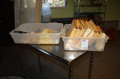 Empty trays after Scott has cut the comb and spun the honey.