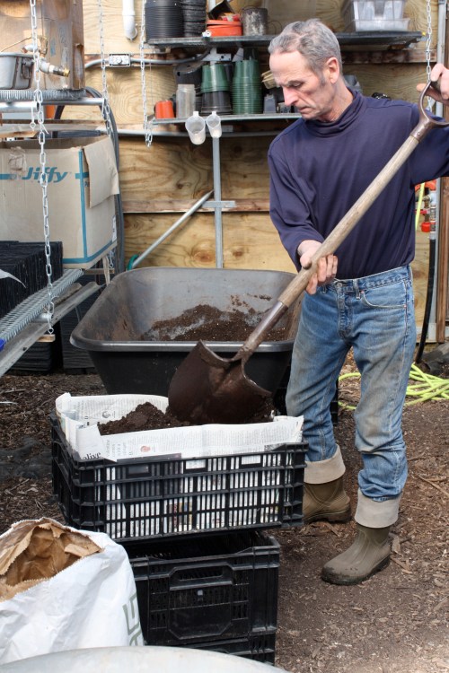 Scott filling crates to seed in some early crops.