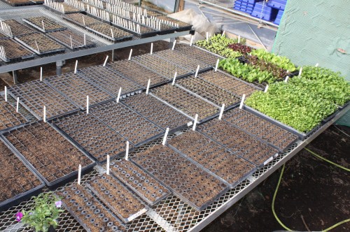 Here's what I did yesterday....