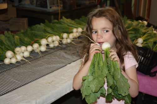 Maeve with the turnips.