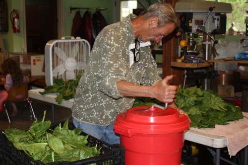Scott spinning the spinach.