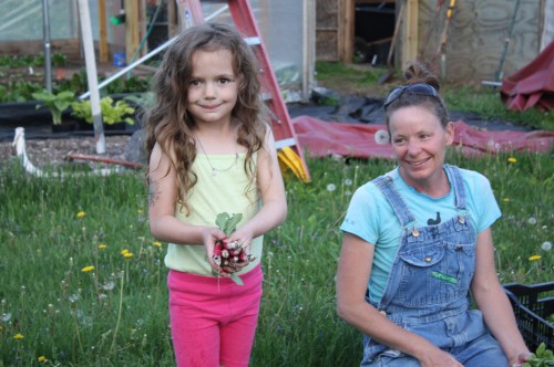 Your radish picker this week.