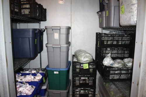 A full cooler all ready for Scott to pack up Monday morning.