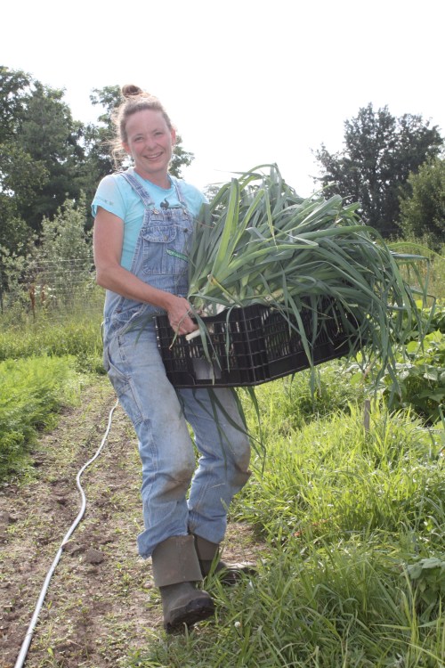 Taking the leeks from the field.