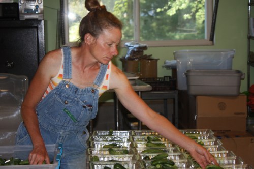 Portioning out the snacking cucumbers for the shares.