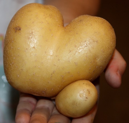 A heart shaped surpise tucked into someone's share this week.