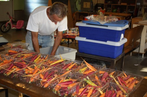 Scott weighing out the carrots for this week's share.