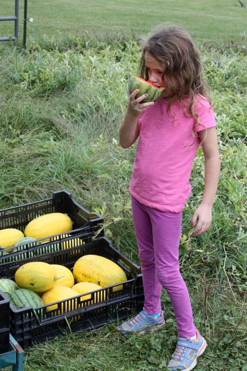 Snacking in the field.