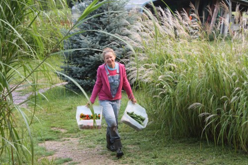 A few more veggies to go in the shares.....