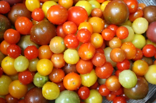 Washed and ready to be portioned off....