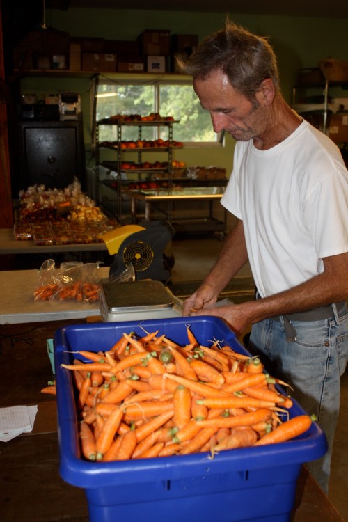 Scott weighing out the carrots.