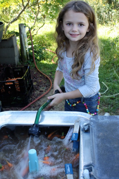 Maeve helped with the washing.