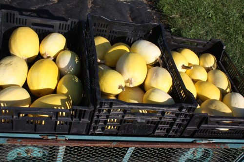 All washed up and ready for the shares.
