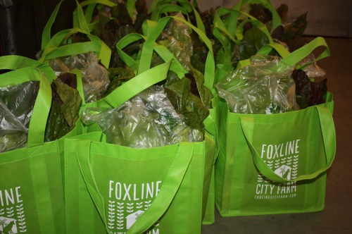 Snack Packs all ready to go home.....