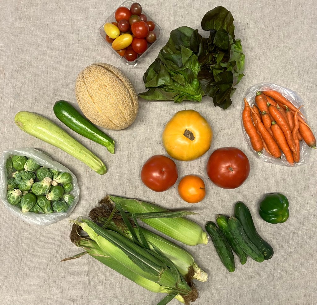 This image has an empty alt attribute; its file name is img_0307.jpeg