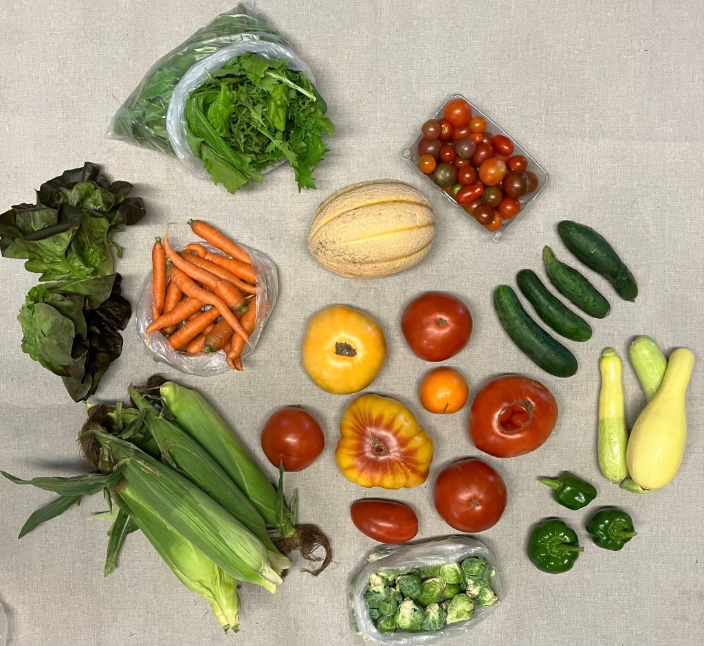 This image has an empty alt attribute; its file name is img_0314.jpeg