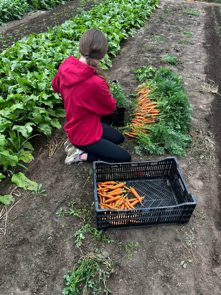 This image has an empty alt attribute; its file name is img_0859.jpeg