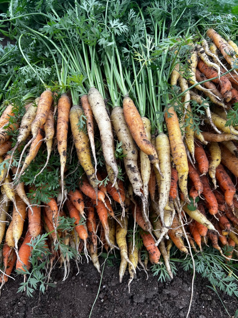 This image has an empty alt attribute; its file name is img_0864.jpeg