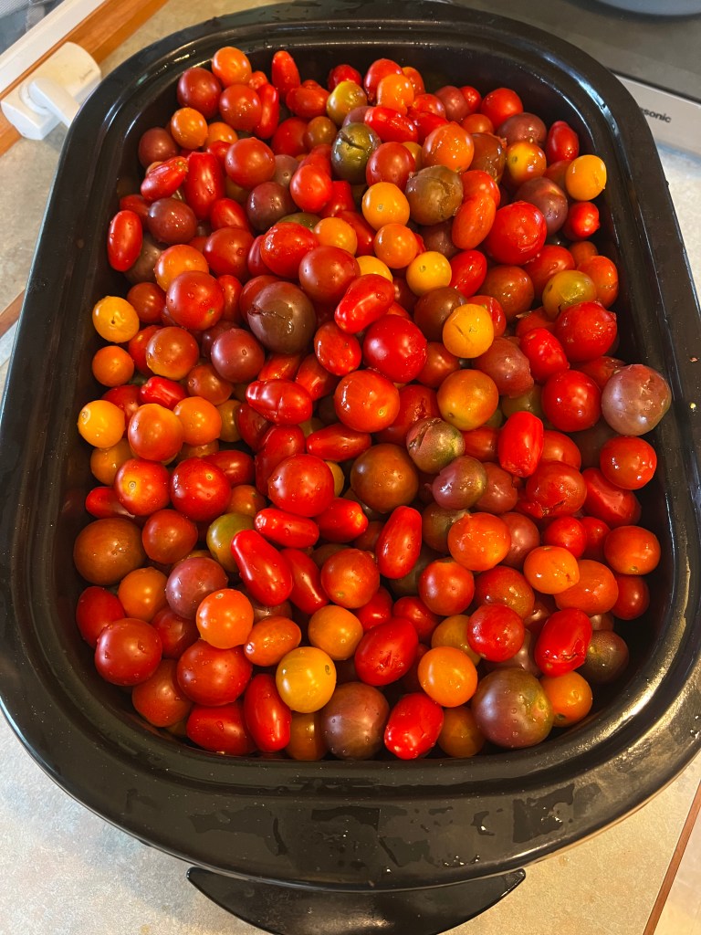 This image has an empty alt attribute; its file name is img_0900.jpeg